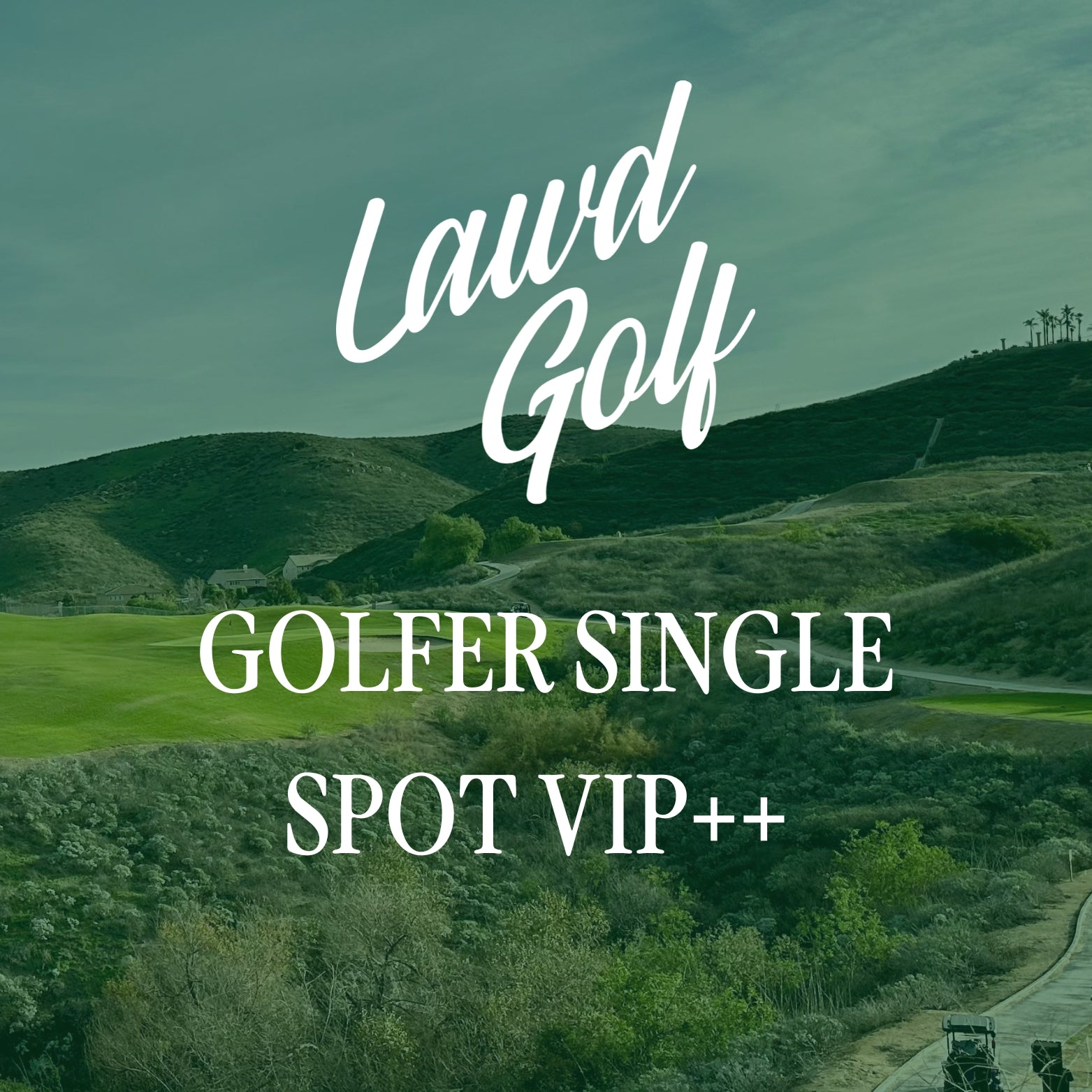 Golfer Single Spot (VIP++) | Hidden Valley Golf Course